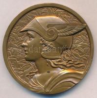 Franciaország DN "Bouches-du-Rhone Általános Tanácsa" jelzett Br emlékplakett. Szign.: Édo...