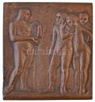 Vedres Márk (1870-1961) ~1910. "Harkányi Ede - 1879-1909" bronz emlékérem (133,24g/57x52mm...