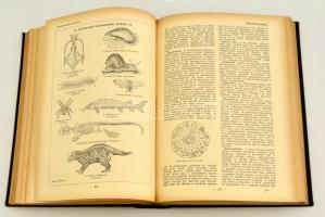 Új idők lexikona 1.-24. kötet. (12 kötetben.) Komplett!, Bp., 1936-1942, Signer és Wolfner Irodalmi ...