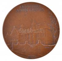 Vastagh László (1902-1972) 1927. "Professor Dr. Moravcsik Ernő Emil 1858-1924 / Officium ante o...