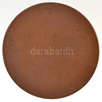 Telcs Ede (1872-1948) 1909. "Budapesti Leányegyesület" egyoldalas Br emlékérem (21,16g/36,...