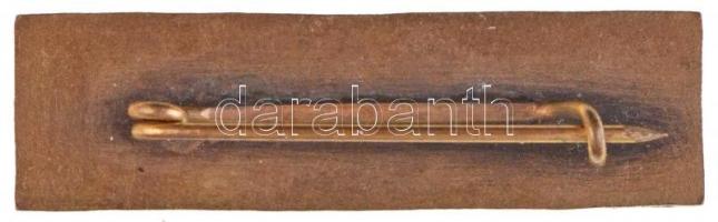 ~1930-1940. "ÚSZÁS - Országos Levente Úszóbajnokság" zománcozott, aranyozott fém jelvény. ...