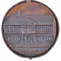 Tóth Sándor (1933-) 1984. "MTESZ Csongrád Megyei Szervezete - Vedres István emlékérem" két...