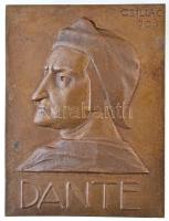 Csillag István (1881-1968) 1906. Dante öntött, egyoldalas Br plakett (141g/82x107mm) T:2 / Hungary 1906. Dante cast, one-sided Br plaque (141g/82x107mm) C:XF
