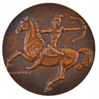 Madarassy Walter (1909-1994) 1935. "Bárdos Ilonka" öntött, kétoldalas Br érem. (159g/69,5m...