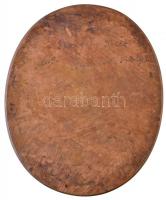 Seregély Dezső (1867-1948) 1924. "Dr. Nagy Emil orvos 1924" ovális Br plakett (816g/161-13...