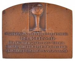 Magdányi Antal (1902-?) ~1950. "Szabadság Vándordíj Emlékplakett / A Szabadság Vándordíjat alap...