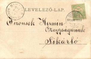 1902 Erdőd, Károlyierdőd, Ardud; vár / castle ruins. photo (EK)