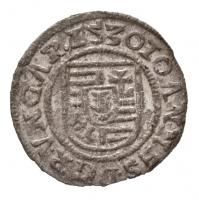 1530A-B Denár Ag "Szapolyai János" (0,41g) T:2,2- 
Hungary 1530A-B Denar Ag "John Sz...