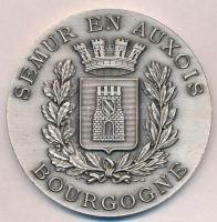 Franciaország DN Semur en Auxois - Bourgogne / Semur polgárai szívesen köttetnek ismertségeket idegenekkel... ezüstözött Br emlékérem (60mm) T:2 France ND Semur en Auxois - Bourgogne / Les citoiens de Semur se plaisent fort en lacointance des Etrangers... silver plated Br commemorative medal (60mm) C:XF