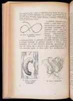 Sebestyén Endre: A selyemhernyó tenyésztése. Bp.,1957, Mezőgazdasági Kiadó, Kossuth Nyomda. Szövegkö...