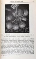 Palocsay Rudolf: Kísérleteim. A micsurinizmus alkalmazásának gyakorlati eredményei. Bukarest, 1914, ...