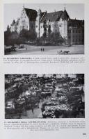 Dr. Cholnoky Jenő: A Kárpátoktól az Adriáig. Bp., 1934, Somló Béla, 275 p. Fűzött papírkötésben, hiá...