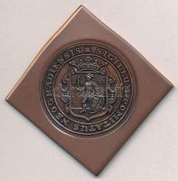 2015. "Somoskő vára" Br csegely alakú emlékérem  (51mm)T:1-