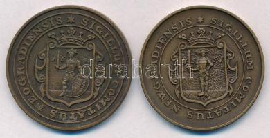 Bognár György (1944-) 1988. "MÉE Nógrád megye - Nógrádi várak sorozat - Buják vára" Br eml...