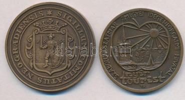 Bognár György (1944-) 1991. "MÉE Nógrád Megyei Szervezete - Salgó vára" Br emlékérem (42,5...