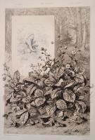 Gerlach, Martin: Die Pflanze in Kunst und Gewerbe. 
Wien, 1886. Gerlach & Schenk, 90 db nagymér...