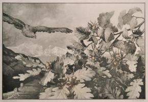 Gerlach, Martin: Die Pflanze in Kunst und Gewerbe. 
Wien, 1886. Gerlach & Schenk, 90 db nagymér...