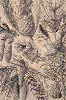 Gerlach, Martin: Die Pflanze in Kunst und Gewerbe. 
Wien, 1886. Gerlach & Schenk, 90 db nagymér...