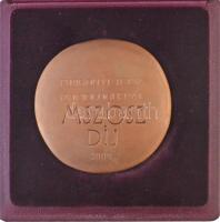 2009. "MSZOSZ (Magyar Szakszervezetek Országos Szövetsége)" két oldalas Br plakett, hátold...