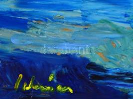 Schéner Mihály (1923-2009): Virágcsendélet. Olaj, farost, jelzett, keretben,  70×50 cm