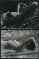 Női aktok, 2 db jelzetlen fotó, 18x13 cm 2 nude photos