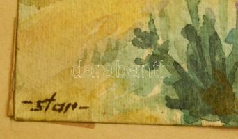 Sostarics Lajos (1896-1968): Kilátás a Halászbástyáról, akvarell, papír, jelzett, üvegezett fa keret...