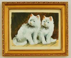 Kása jelzéssel: Fehér cicák. Gouache, papír, üvegezett keretben, 15×21 cm