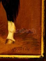 Kopátsy jelzéssel: Idéal du Gazeau francia versenyló, olaj, vászon, kicsit sérült fa keretben, 29×39...