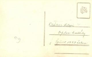 Klábertelep (Lajosmizse); Kláber kastély. photo