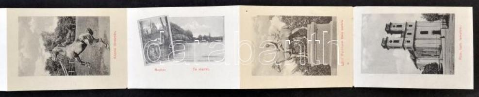 Kisbér, Római katolikus templom, Báró Wenckheim Béla emlékszobra, Állami Nagyvendéglő. floral Art No...