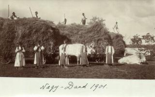 1901 Dádpuszta, Nagy-Daad (Ozora); aratás, szalmakazal készítése, szarvasmarhák. photo