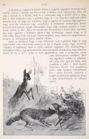 Diezel,(Carl Emil)-Mika(Károly): Az őz és nyúl természetrajza és vadászata. (Különlenyomat a Diezel-...