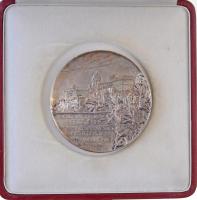 Strobl Alajos (1856-1926) 1905. "Hauszmann Alajos - műépítész, tanár" ezüstözött Br emléké...