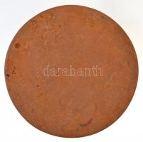 Ligeti Erika (1934-2004) DN "Tavasz" Br plakett (88mm) T:2