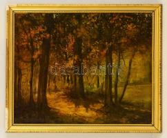 Kostyánfalvy jelzéssel: Erdő részlet. Olaj, vászon, festékcsíkkal, keretben, 40×50 cm