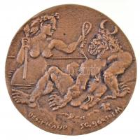 Borsos Miklós (1906-1990) 1955. "Hommage á Picasso" Br emlékplakett (85mm) T:2