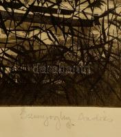 Szunyoghy András (1946- ): Balaton, rézkarc, papír, jelzett, 29×39,5 cm