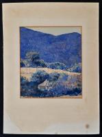 Olvashatatlan jelzéssel: Tahi, akvarell, papír, paszpartuban, 21,5×18,5 cm