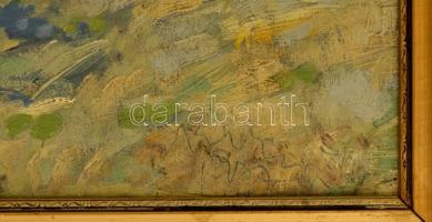 Olvashatatlan jelzéssel: Falusi utca, olaj, farost, keretben, 42,5×55,5 cm