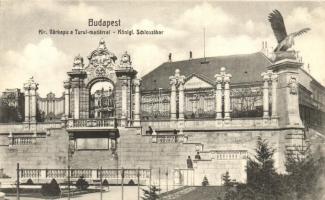 Budapest I. Királyi Várkapu a Turul madárral