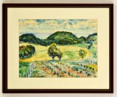 Nyerges Pál (1914-1987): Dombok és tó, akvarell, papír, jelzett, paszpartuban, üvegezett fa keretben, 28×38 cm