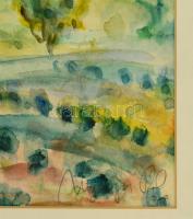 Nyerges Pál (1914-1987): Dombok és tó, akvarell, papír, jelzett, paszpartuban, üvegezett fa keretben...