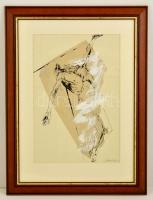 Bardócz Lajos (1936- ): Levétel a keresztről, vegyes technika, papír, jelzett, üvegezett fa keretben, 48,5×32,5 cm