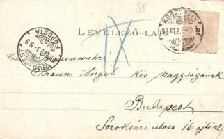 1899 Keszthely, Fő utca, Festetics palota, Balaton fürdő, Főgimnázium, Gazdasági tanintézet. Marton ...