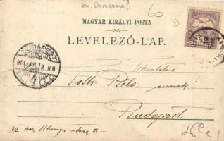 1901 Kiskundorozsma (Szeged), szélmalom. photo