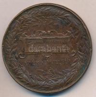 Schwartz István (1851-1924) 1885. "Országos Átalános Kiállítás Budapesten - 1885 / Az érdem jel...
