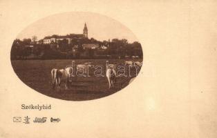 Székelyhíd, Sacueni; látkép szarvasmarhákkal / general view with cattle (EB)