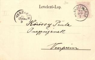 1899 Herkulesfürdő, Baile Herculane; Gyógypark és Rezső udvar. Hirsch József kiadása / Kurpark und R...