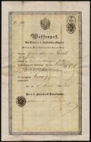 1850 A Pest-budai rendőrigazgatóság duplacsövű puskára szóló fegyvertartási engedélye fakereskedő részére, okmánybélyeggel /  1850 Waffenpaß, firearms licence issued for wood merchant